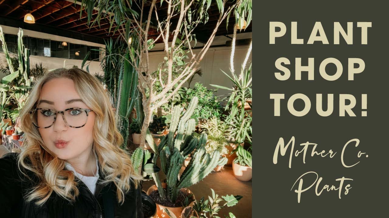 Plant Shop Tour! | Mother Co. Plants in Minneapolis, Minnesota