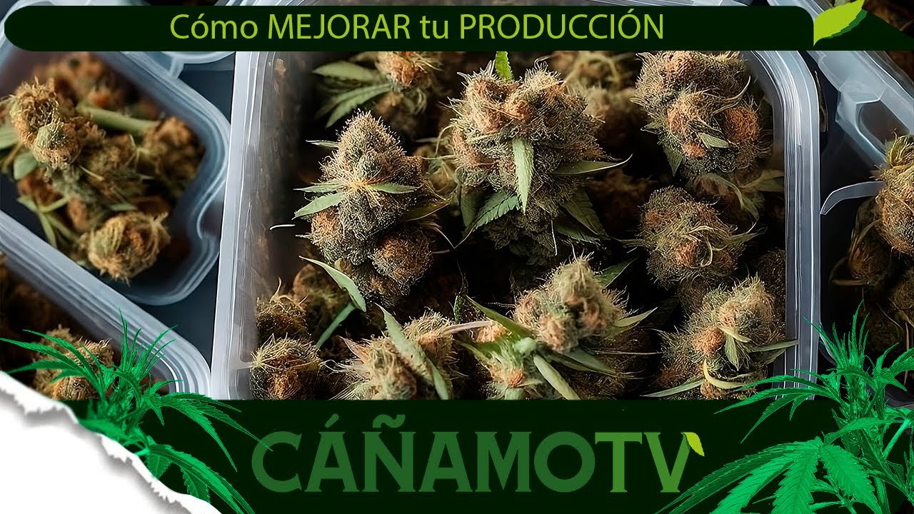 C&oacute;mo MEJORAR tu PRODUCCI&Oacute;N en el INDOOR 💪 Mars Hydro FC-E4800