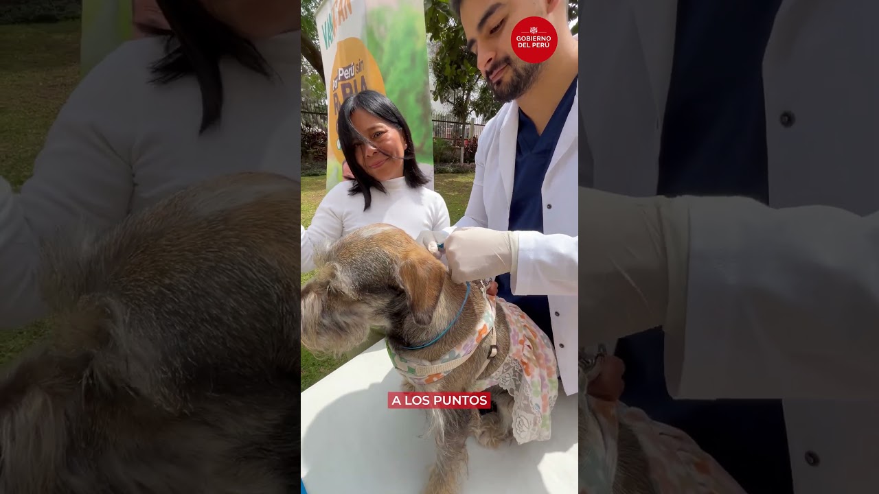 ¡Vacuna a tu perrito contra la rabia!