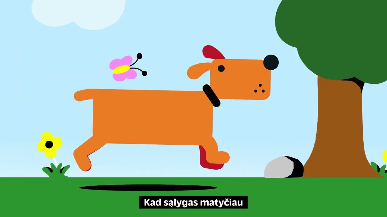 Užuosime tau tinkamiausią draudimą.