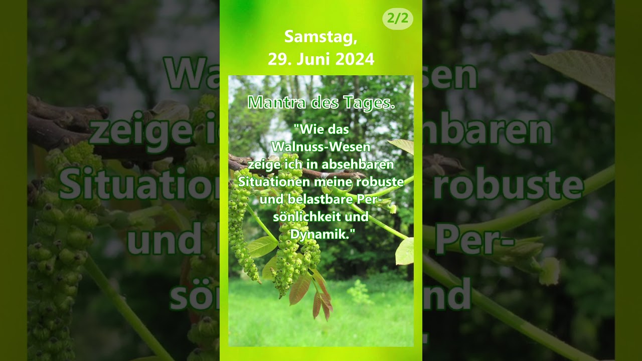 2024-06-29 Seelenbotschaft - Tagesmantra - Walnuss 