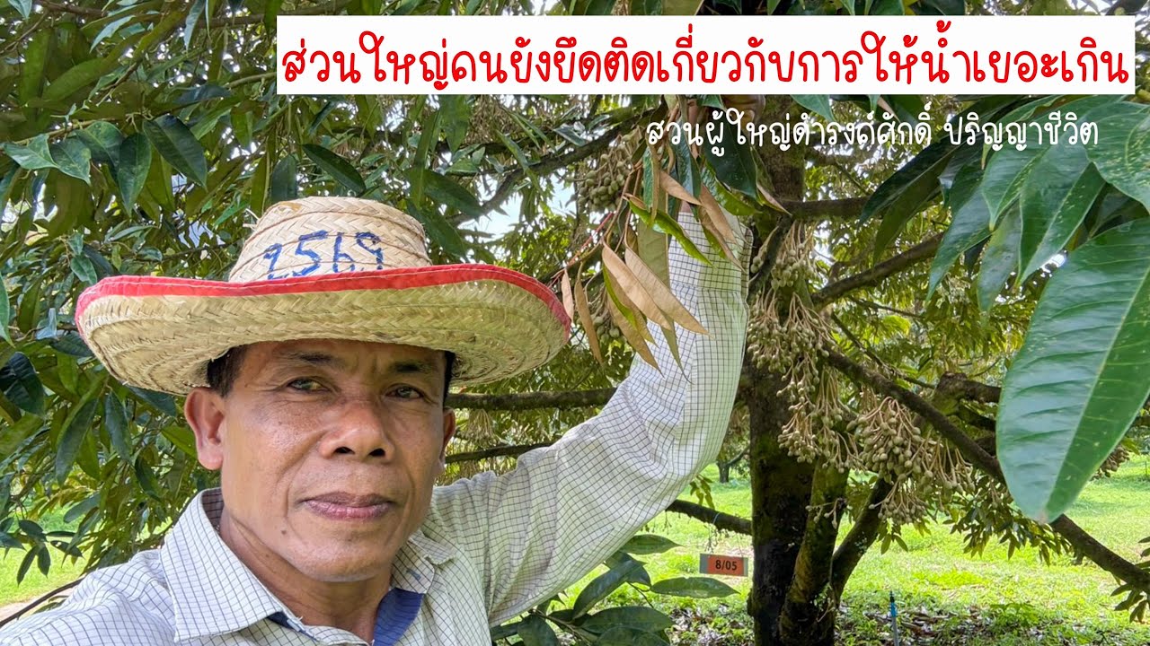 ส่วนใหญ่คนยังยึดติดเกี่ยวกับการให้น้ำเยอะเกิน | EP.207