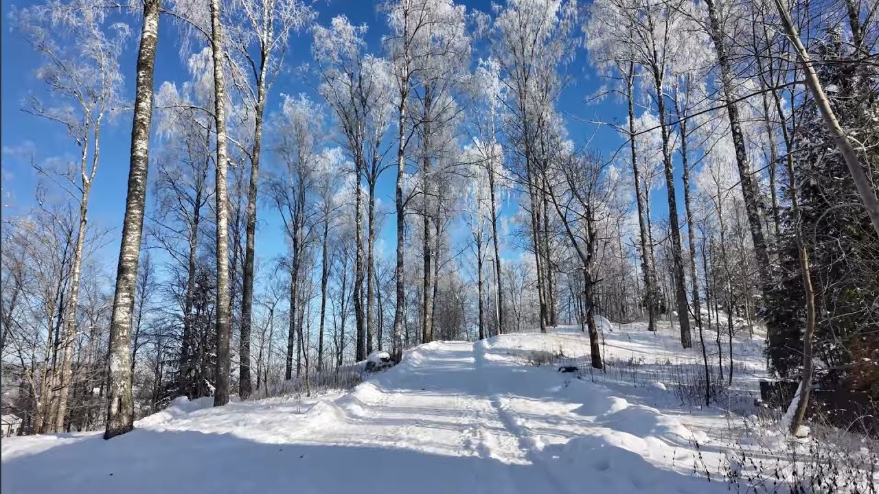 Sunny day walk.February 2026