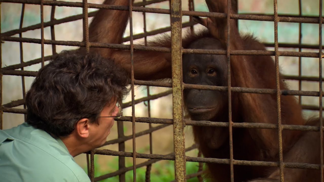The Eco Warriors: Episode 1 (2015)
