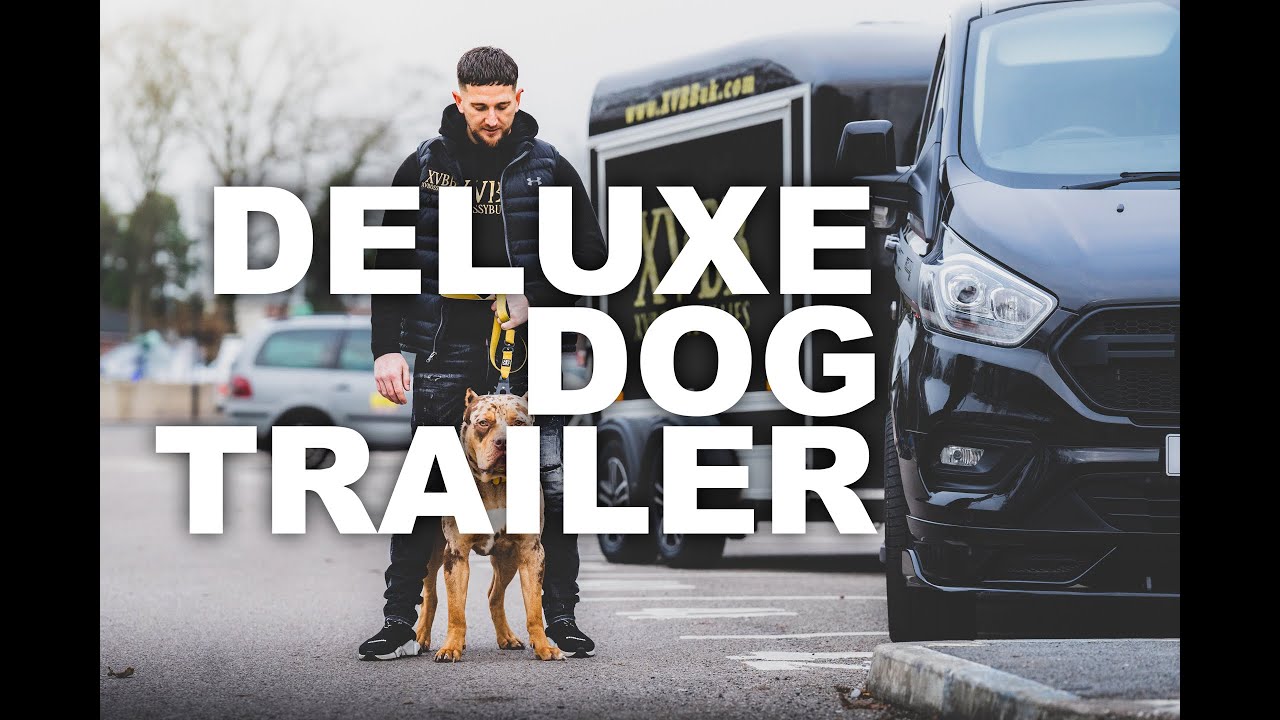 DELUXE CUSTOM DOG TRAILER BUILD | CABBOXES | FULL TRAILER TOUR