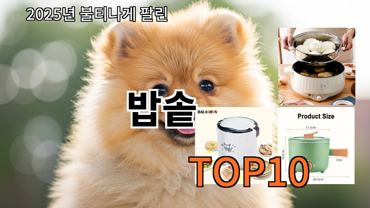 알리 밥솥 요즘 알리 쇼핑 리스트 1순위