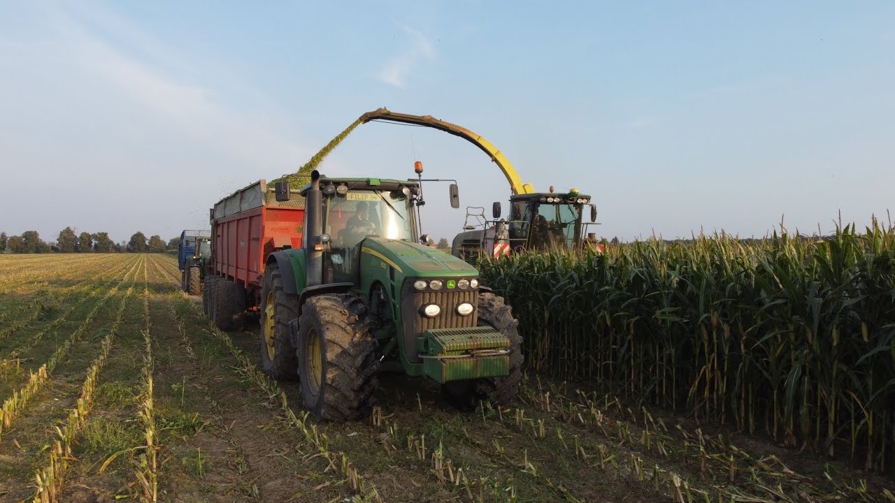 🔥Koszenie Kukurydzy w GR Karolew🔥400 Hektarów na sieczkę🔥Stado John Deere'ów🔥 AgroPlus Grześkowiak🔥