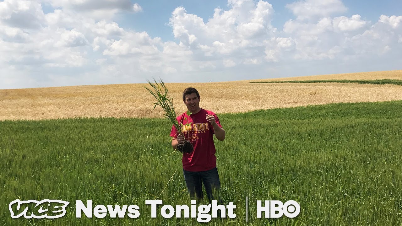 Farmers Still Love Trump Even Though His Trade War Is Hurting Them