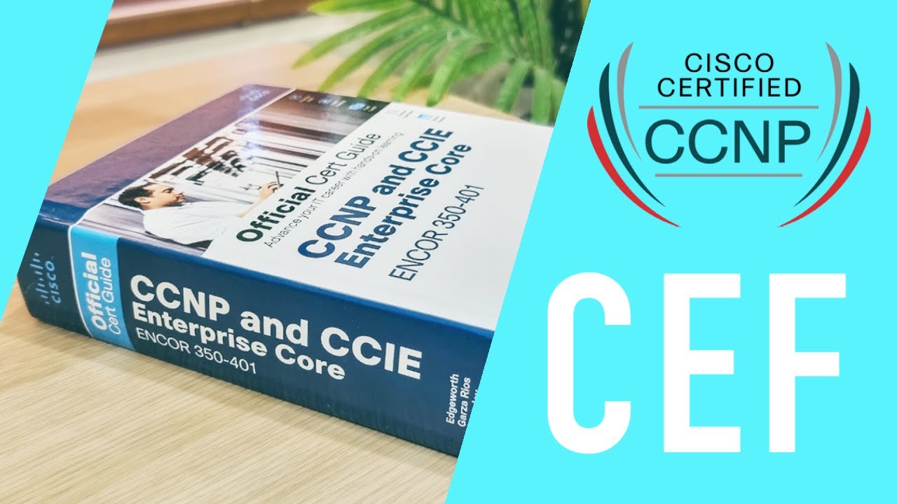 Cisco CCNP - What Is CEF Punting? (Cisco Express Forwarding)