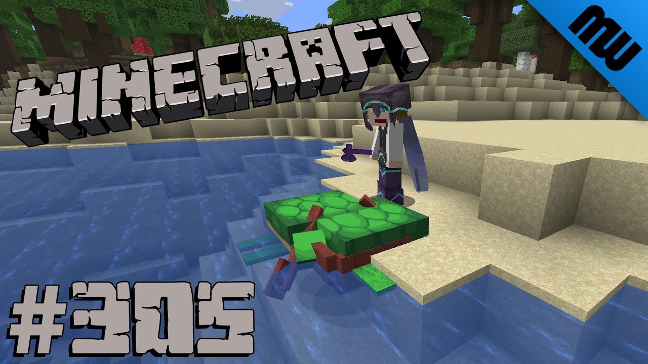 Der Schildkröten Zwischenfall ● Let's play Minecraft Multiplayer #305