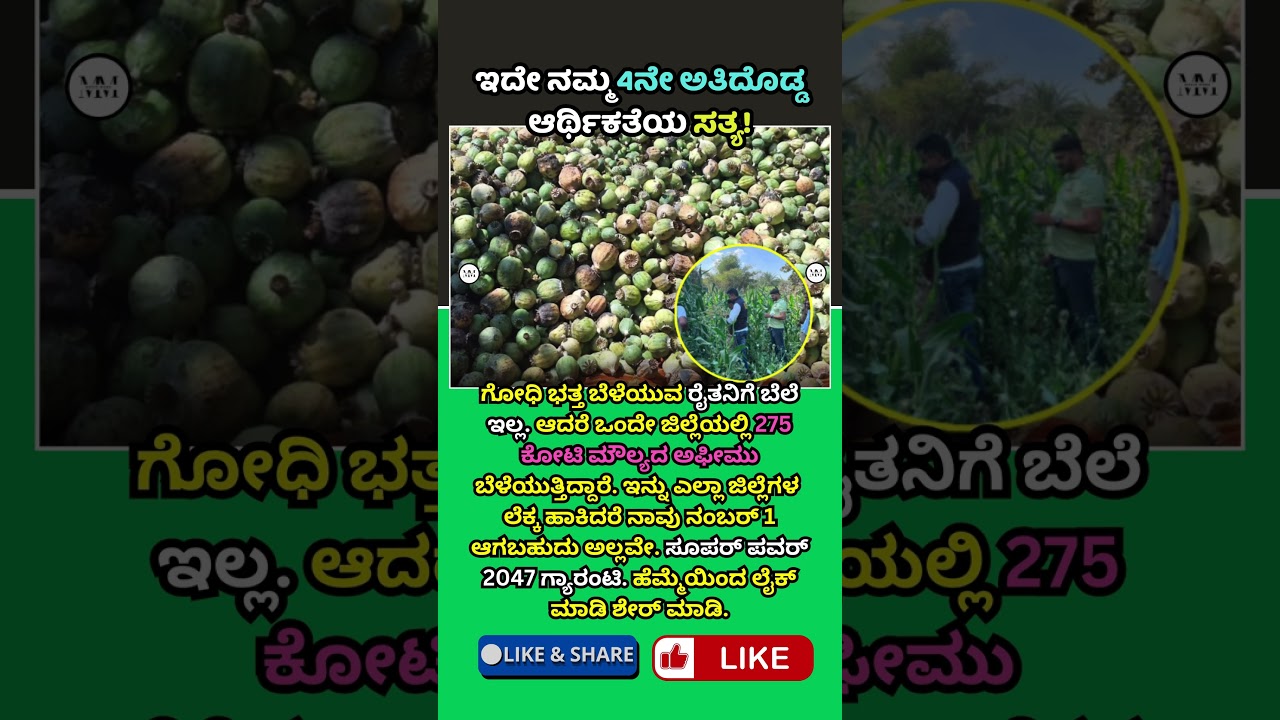 This is the truth about our 4th largest economy! 😱#shortsfeeds #india #trendingshorts #kannadashorts #shorts