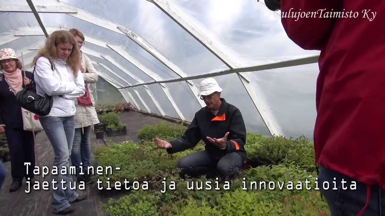 Puutarhabloggaajat Oulujoen Taimistolla 19.7.2013