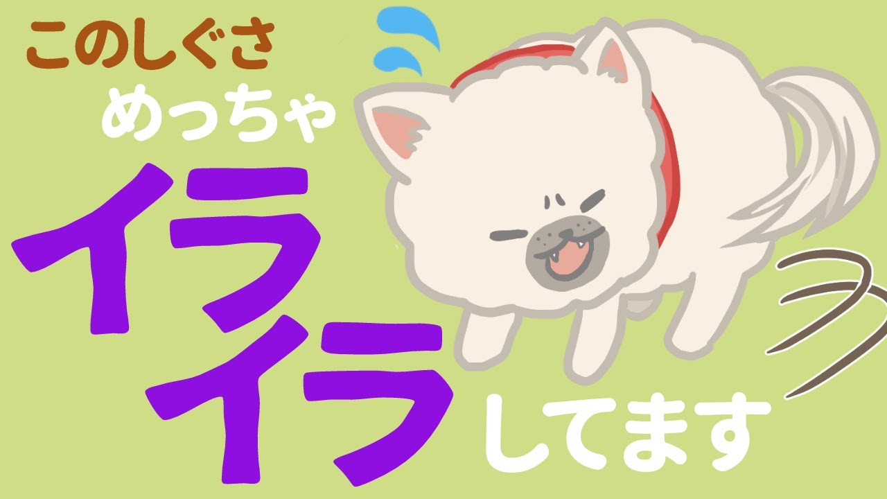 愛犬のストレス溜まってない？イライラした犬の5つの仕草