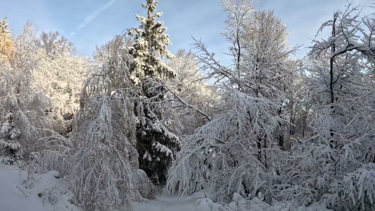 Iarna pe poteci de munte prin Valea Ijarul,Varful Ijar munții Gilaului.