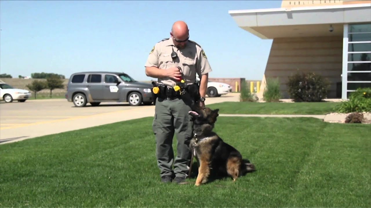 Our K-9 Division