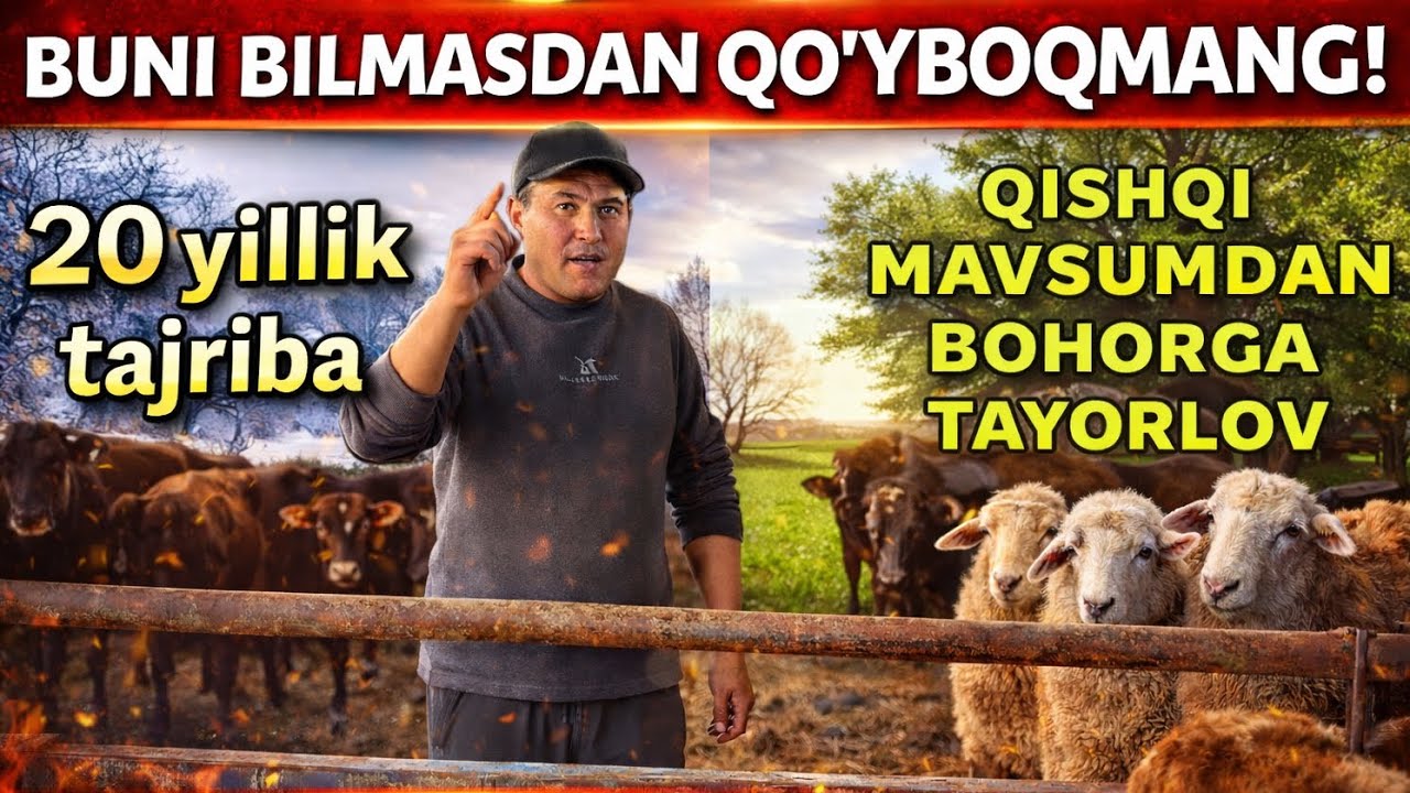 💥 REKORD NATIJA! Qishdan keyin 30 KUNDA O’ZGARISH! 🐑
