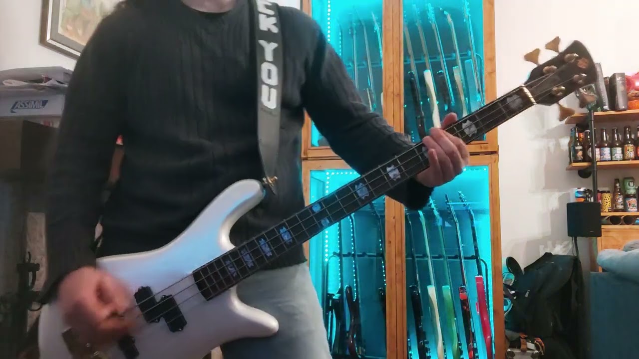 Alice In Chains - Again (bass cover)