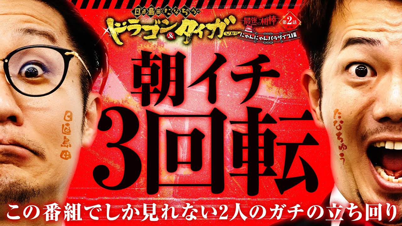朝イチ3回転⁉ 日直島田&たなちゅうドラゴン＆タイガー 最強の相棒 〜にゃんにゃんパラダイス編〜【第2話(1/2)】  @simada_obasan　@pekarutv