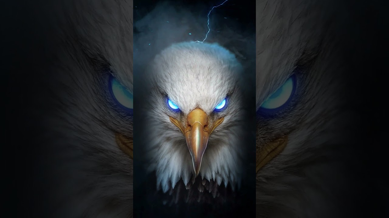 موسيقى مسلسل وادي الذئاب بداية العمليات بطيئ
