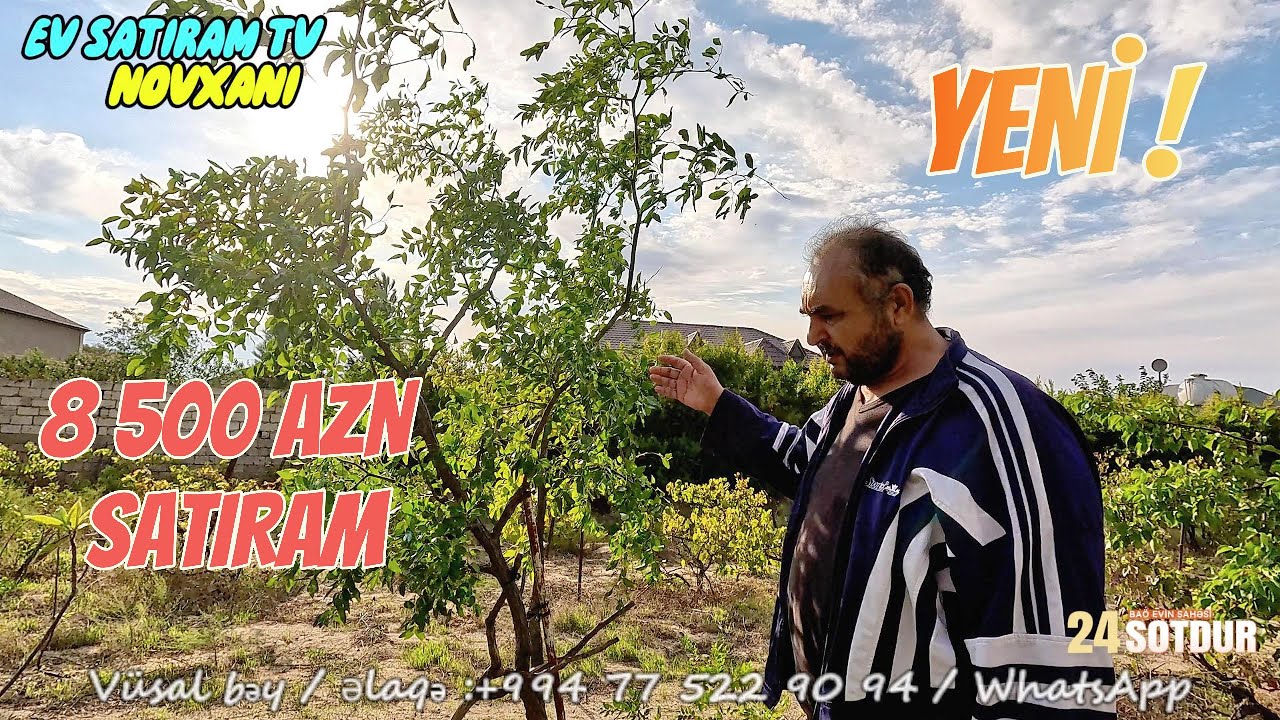 🌳 100 Metrlik Uzunluğa Malik 🌿 Meyvə Ağaclı Bağ – Torpaq Qiymətinə! /Недвижимость  / EV SATIRAM TV