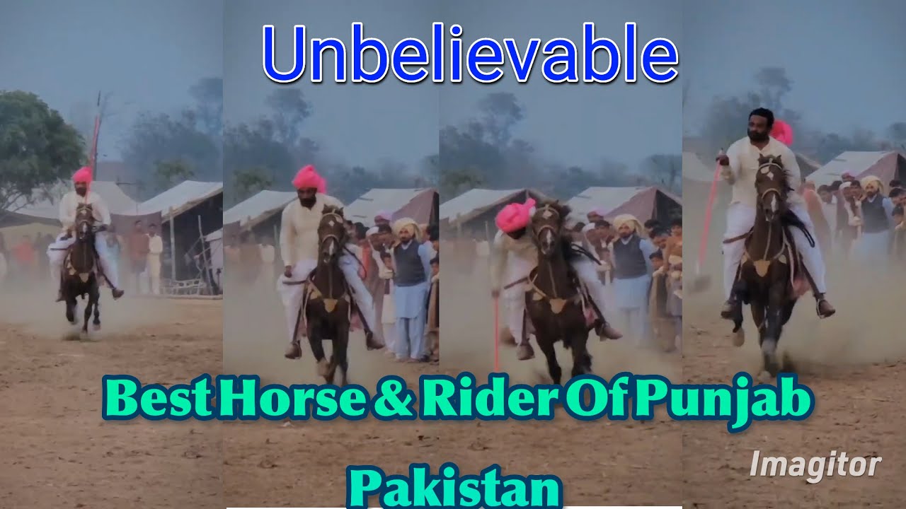Best horse rider of Ravi #pakistani #horse #lover #trending