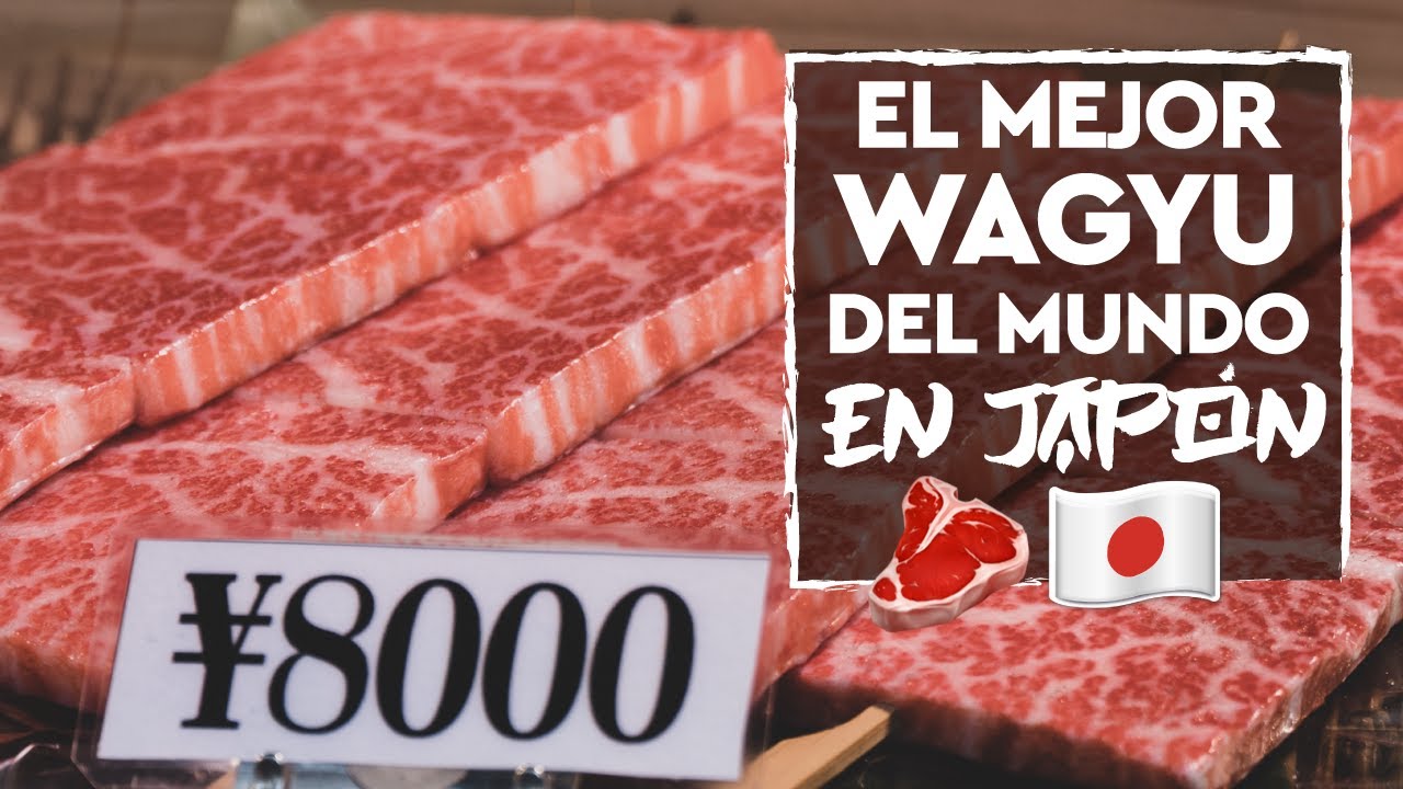 El Mejor Wagyu del Mundo en un Yakiniku, Tokio  🇯🇵 - Recetas del Mundo
