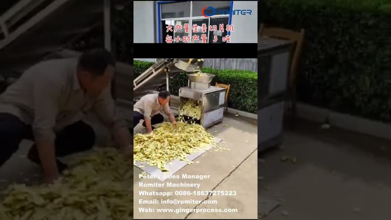 Automatic High Speed Ginger Cutting Slicing Machine