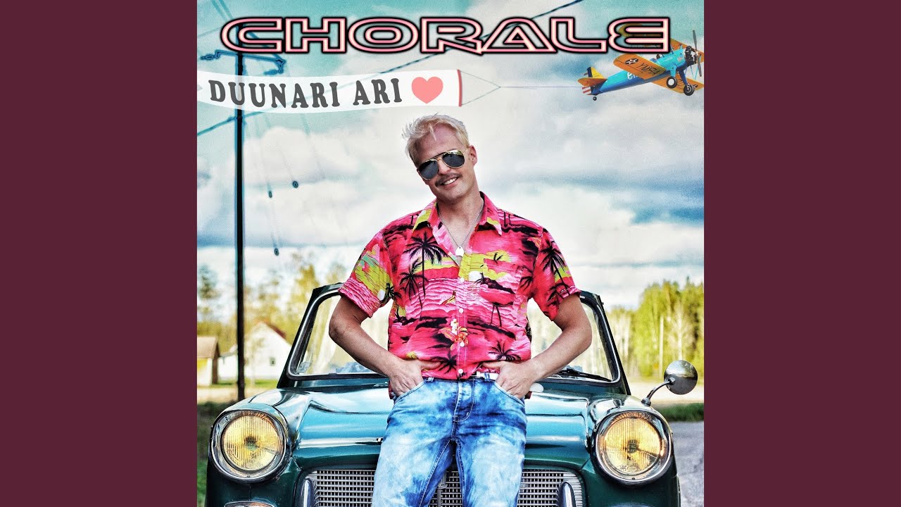 Duunari Ari