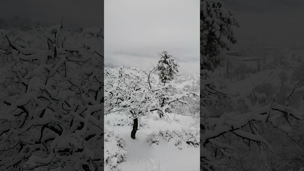 snowly weather in tirah velly Pakistan 💝 💝 💝 💝