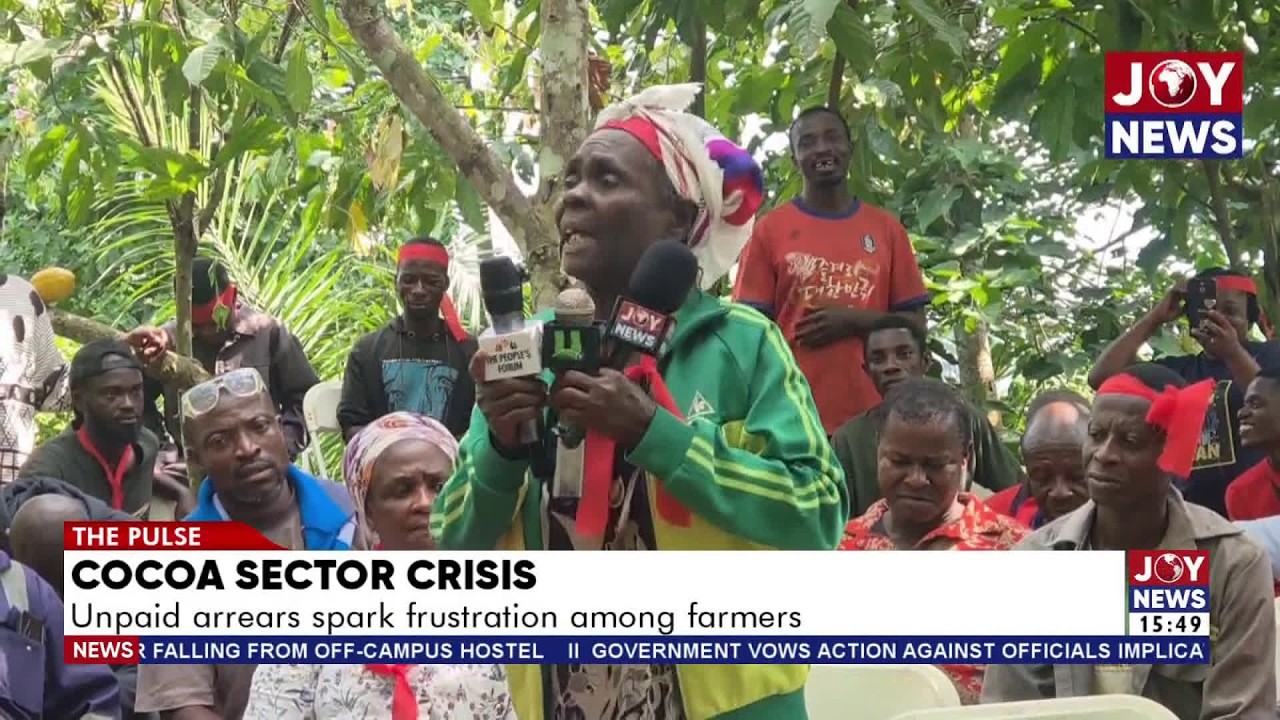 Cocoa Sector Crisis: Unpaid arrears spark frustration among farmers | The Pulse (9-2-26)