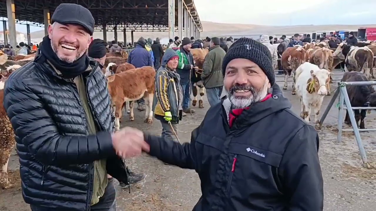 SORGUN CANLI HAYVAN PAZARI 19 ŞUBAT 2026 2. bölüm 