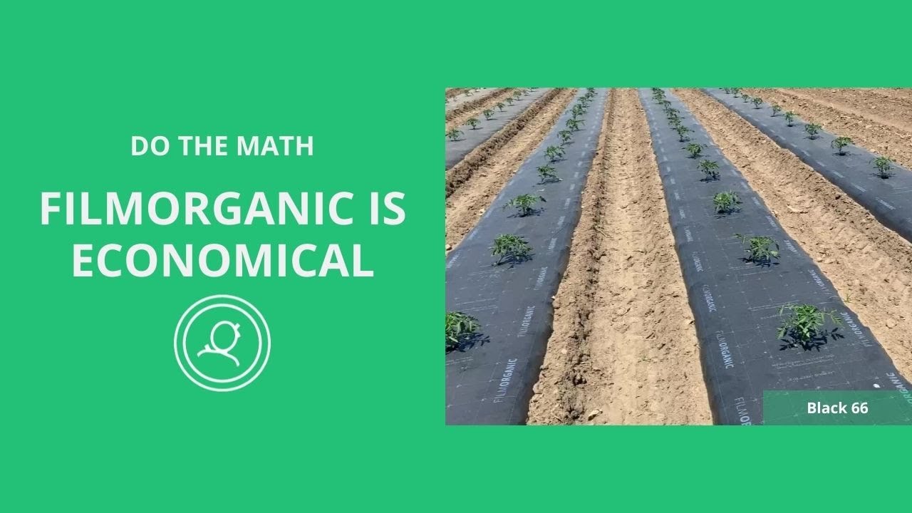 Compostable-Biodegradable Mulch Film For Hemp
