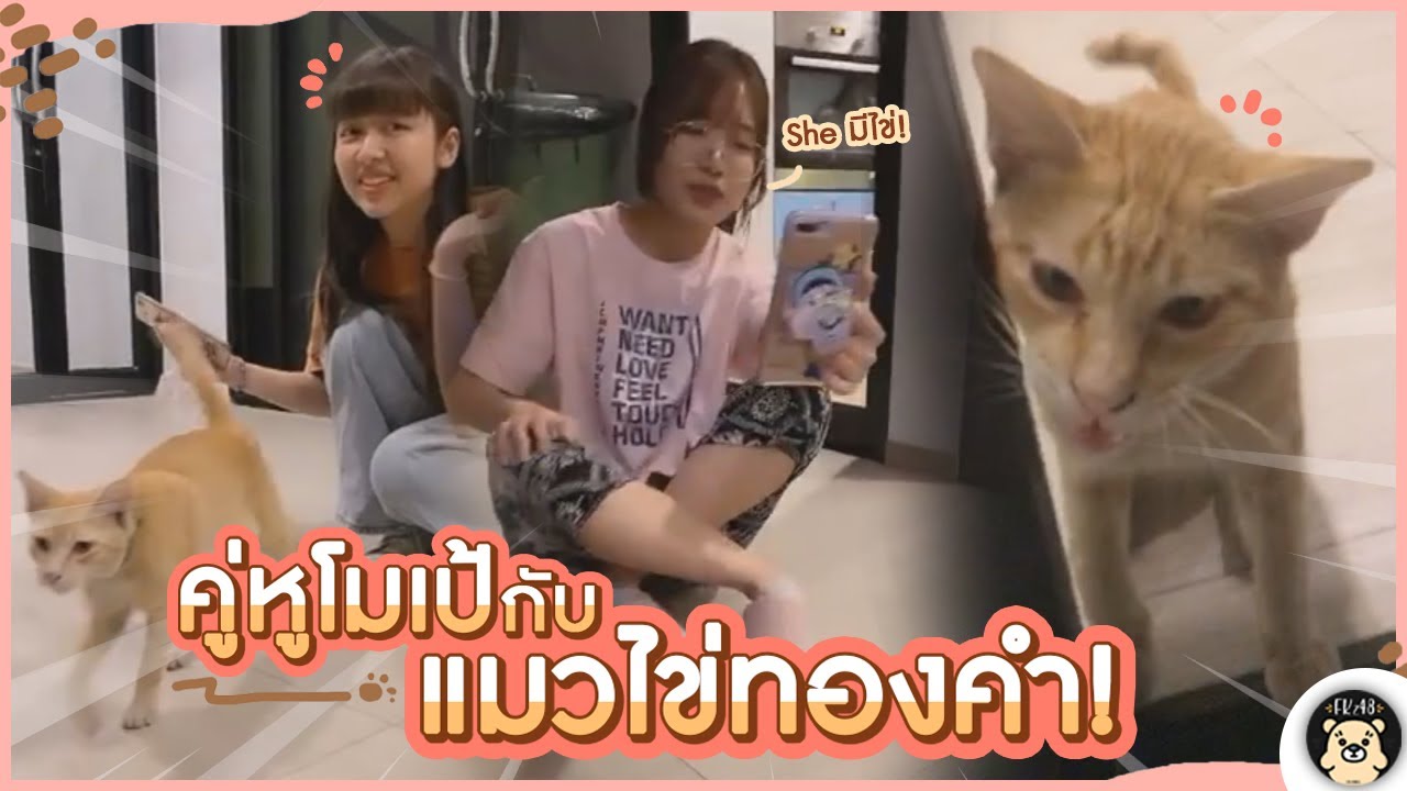 (รวม 2 จอ!) She มีไข่! โมเป้ 2 พี่น้องสุดฮากับน้องแมวไข่ทองคำ! | Mobile BNK48 ft. Pupe BNK48