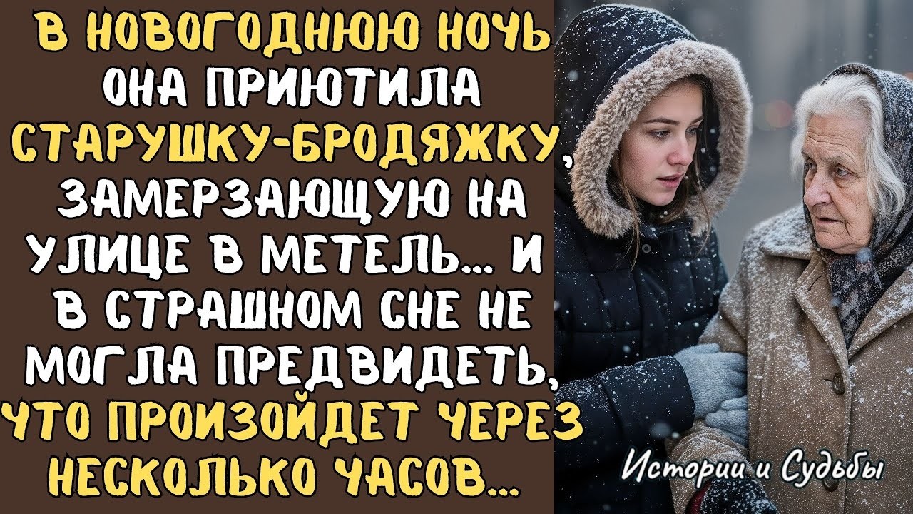 В НОВЫЙ год ОНА приютила бабушку-БРОДЯЖКУ в метель... А едва через несколько часов произошло ЭТО...