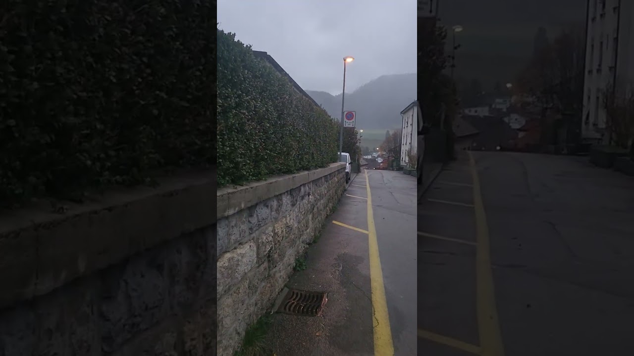 A LA DECOUVERTE DE LA SUISSE ( TAVANNES)