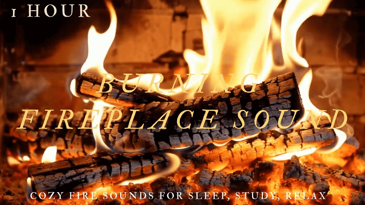 1 Hour Burning Fireplace/Fire Sounds for Study/Relax/Focus 壁爐柴火聲白噪音 讀書/放鬆/專注 暖炉の薪割れ音 벽난로 장작 타는 소리