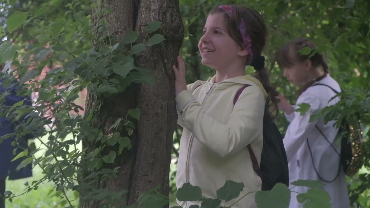 TAPPA 4 - Perdersi nel Bosco