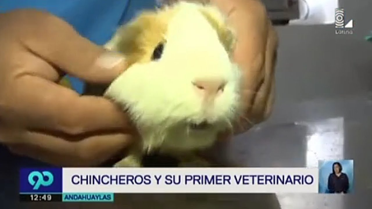 PERÚ OUT OF CONTEXT #2