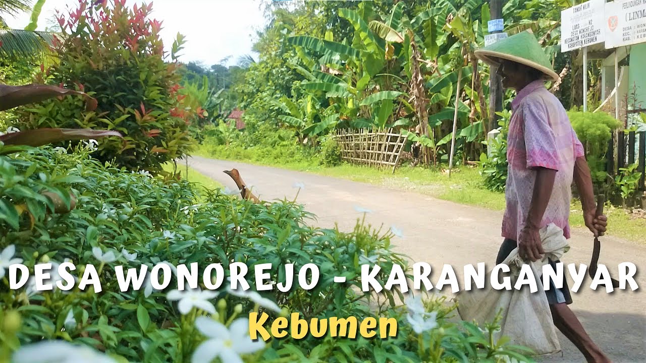 BELUM BISA MUDIK ke KARANGANYAR ? Suasana Desa Wonorejo yang Hijau dan Bikin Kangen ada di Kebumen