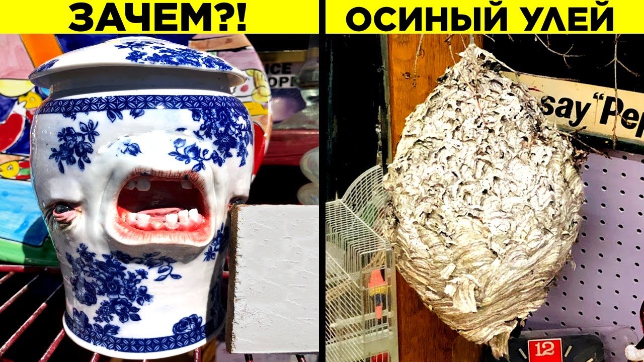 Странные Вещи, Найденные в Комиссионных Магазинах