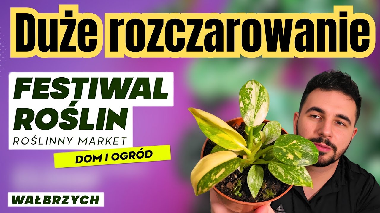 FESTIWAL ROŚLIN / JESTEM ZAWIEDZIONY 😐 RELACJA I PRZEGLĄD PÓŁEK 