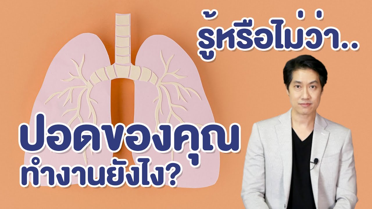 [ซีรีส์] รู้หรือไม่ว่าปอดของคุณทำงานยังไง ? (ตอนที่ 1-5) : [EP50] เรื่องเล่าจากร่างกาย