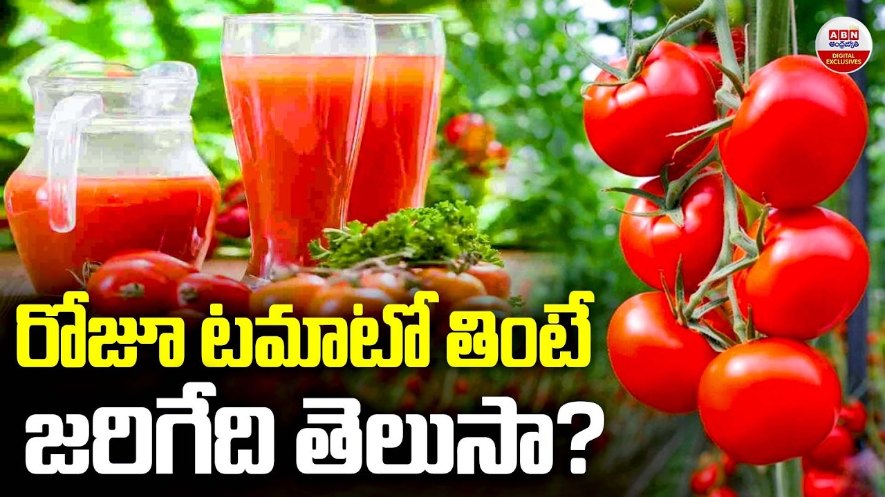 రోజూ టమాటో తింటే జరిగేది తెలుసా? | Health Benefits Of Daily Eating Tomato | ABN Digital