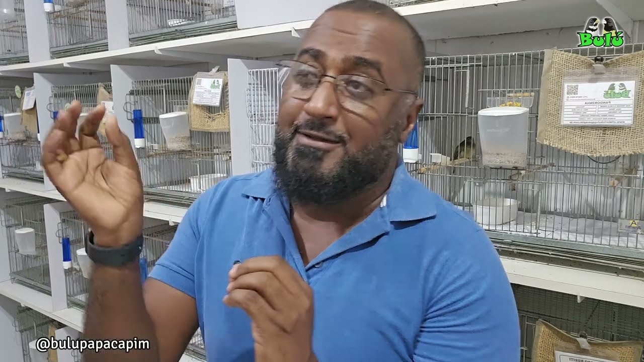 BOLETO IBAMA NÃO DEU BAIXA