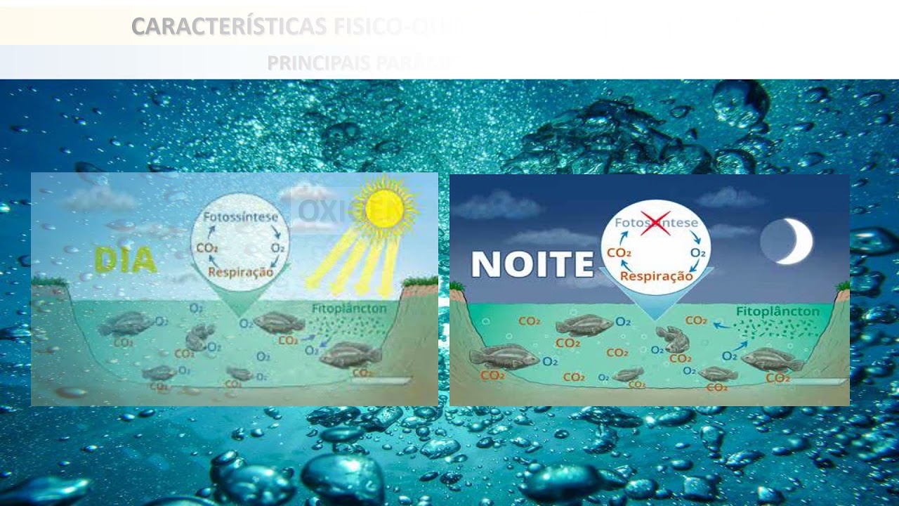 Parâmetros fisico-químicos da água na piscicultura