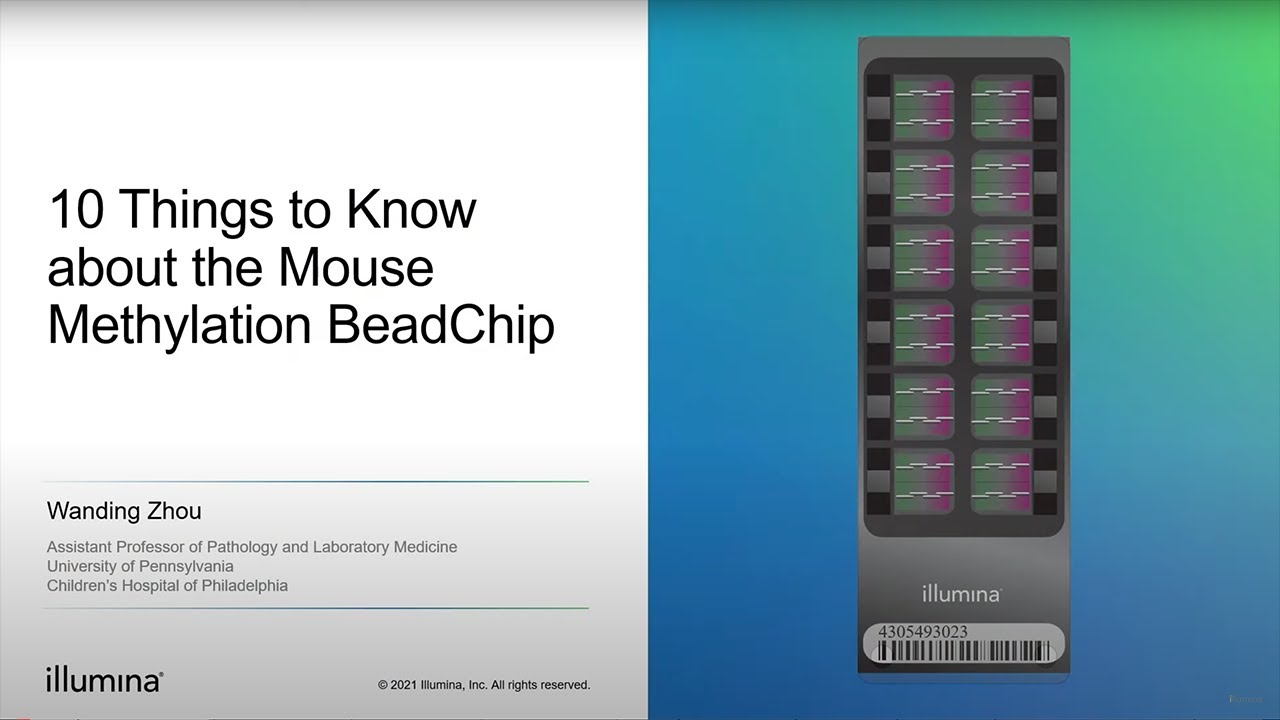 10 Things to Know about the Infinium™ Mouse Methylation BeadChip
