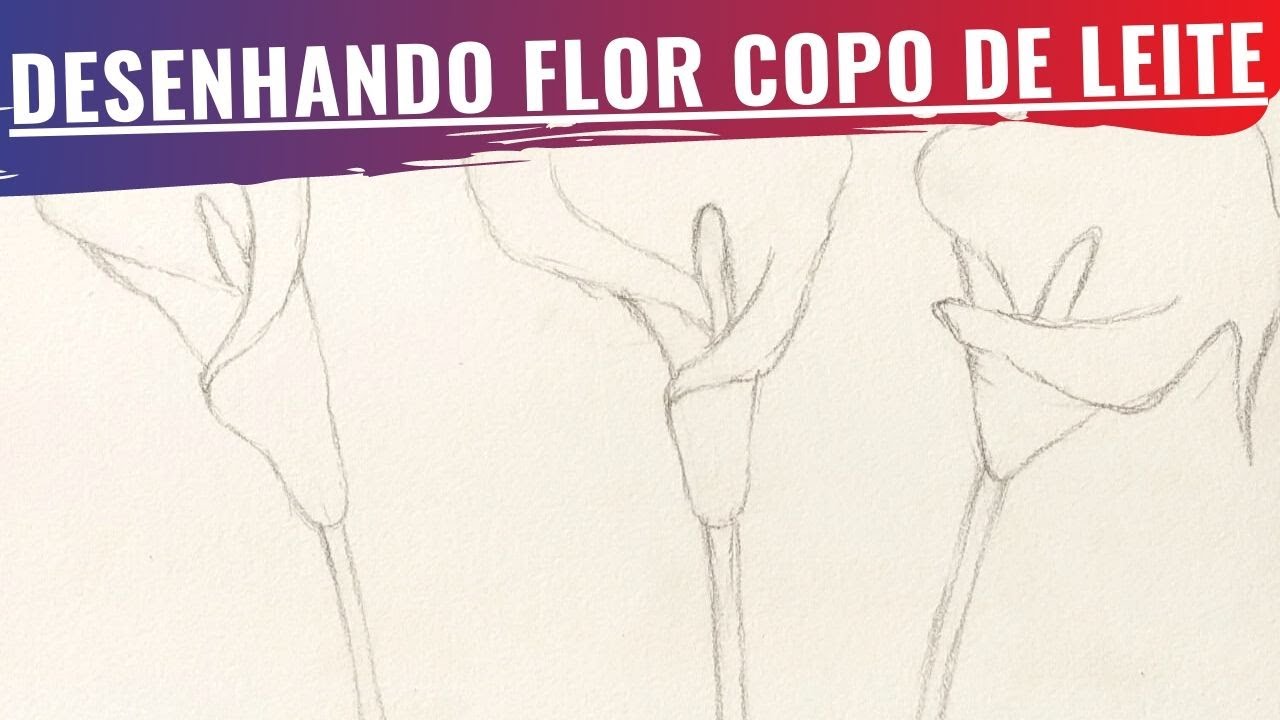 Como desenhar flores de Copo de Leite passo a passo - Curso de desenho para iniciantes