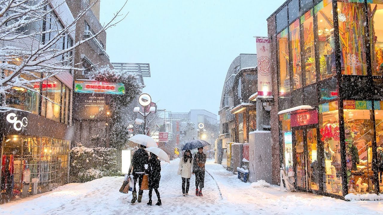 Tokyo Snowfall 