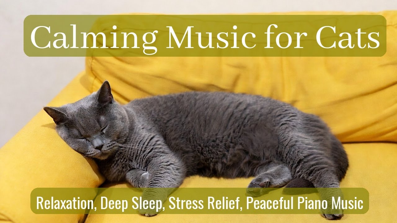 Calming Music for Cats - Relaxation, Deep Sleep, Stress Relief, Peaceful Piano Music | Season 88