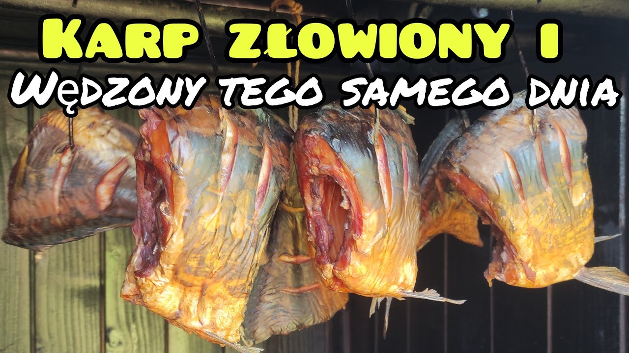 Karp wędzony tego samego dnia